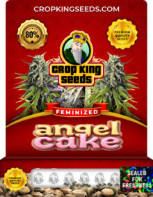 Angel Cake Feminized