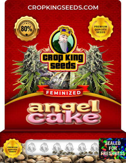 Angel Cake Feminized