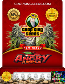 Angry Apple Feminized