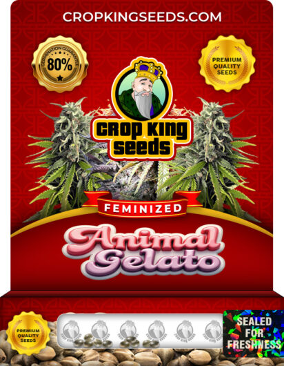 Animal Gelato Feminized
