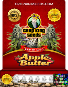 Apple Butter Feminized Marijuana Seeds