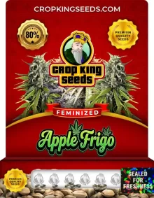 Apple Frigo Feminized