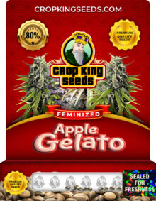 Apple Gelato Feminized