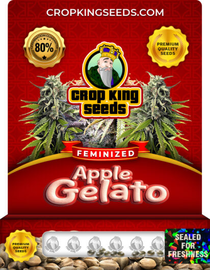 Apple Gelato Feminized