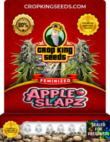 Apple Slapz Feminized
