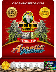 Arnold Palmer Feminized