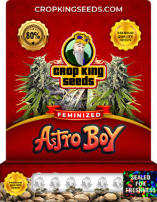 Astro Boy Feminized