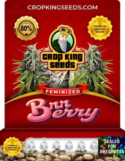 Brr Berry Strain