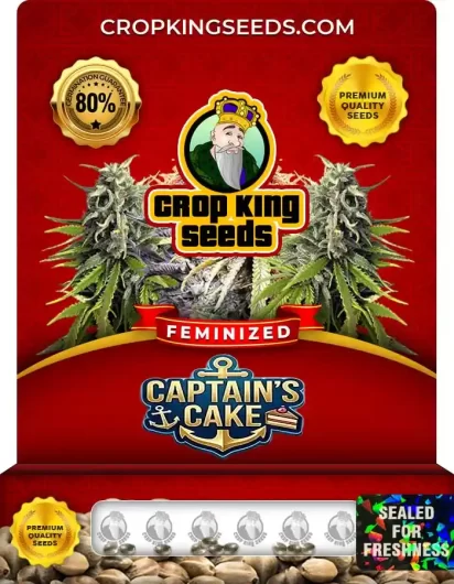 Captain's Cake Feminized