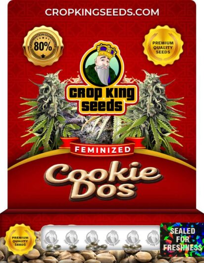 Cookie Dos Feminized