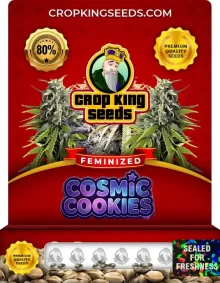 Cosmic Cookies Feminized