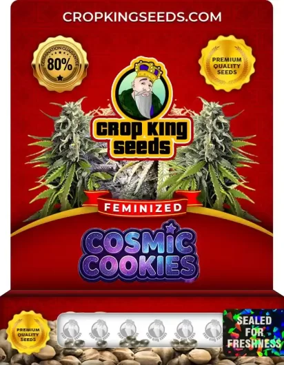 Cosmic Cookies Feminized