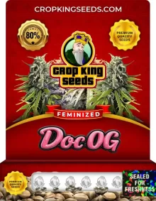 Doc OG Feminized