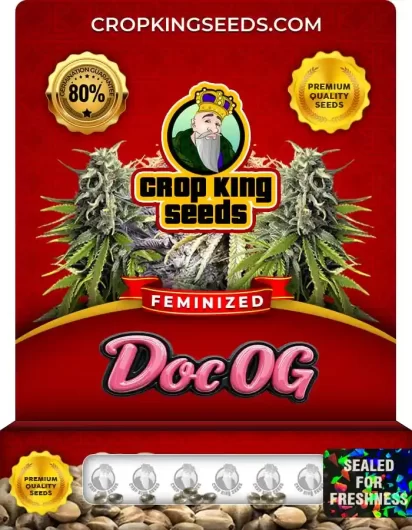Doc OG Feminized