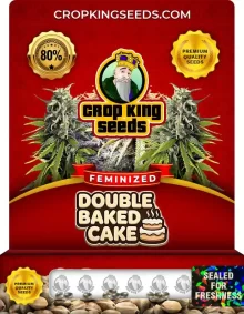 Double Baked Cake Feminized