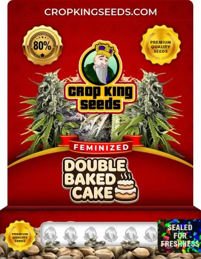 Double Baked Cake Feminized