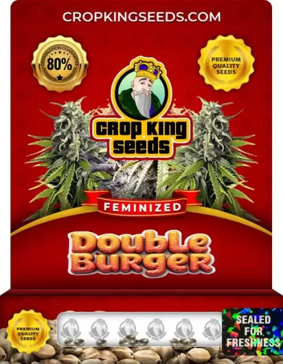 Double Burger Feminized