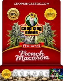 French Macaron Feminized