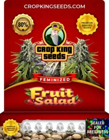 Fruit Salad Feminized