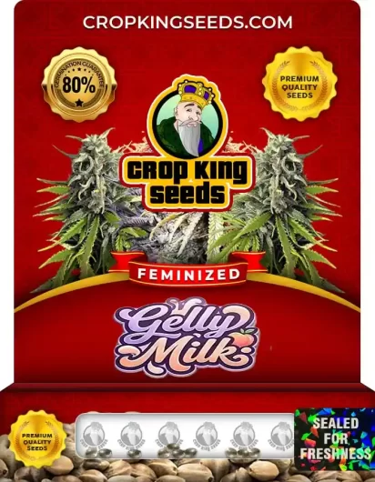Gelly Milk Feminized
