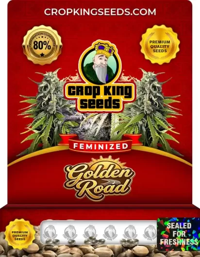 Golden Road Feminized