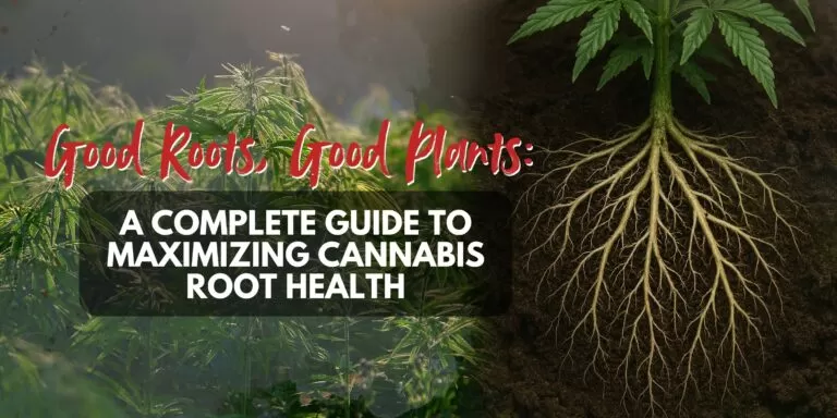 Good Roots, Good Plants_ A Complete Guide to Maximizing Cannabis Root Health (1)