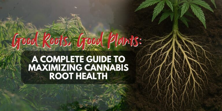 Good Roots, Good Plants_ A Complete Guide to Maximizing Cannabis Root Health (1)