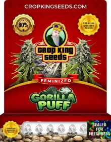 Gorilla Puff Feminized