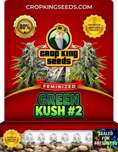 Green Kush #2 Feminized