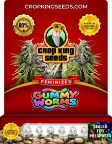 Gummy Worms Feminized