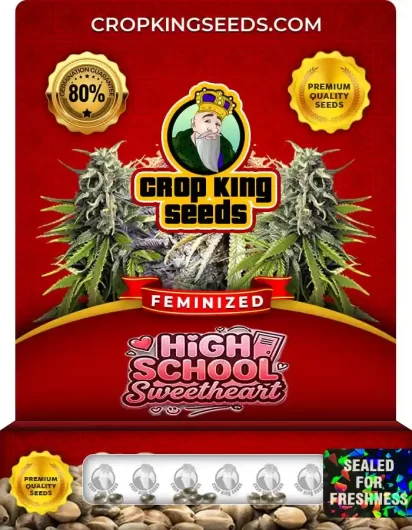 High School Sweetheart Feminized