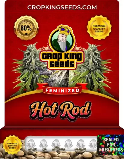 Hot Rod Feminized