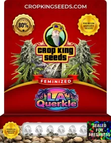 LA Querkle Feminized