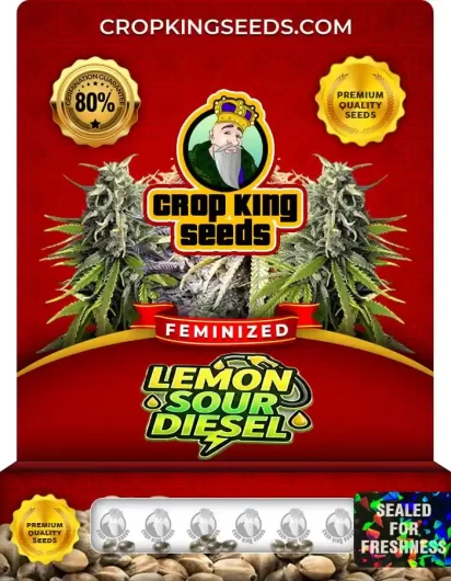 Lemon Sour Diesel Feminized