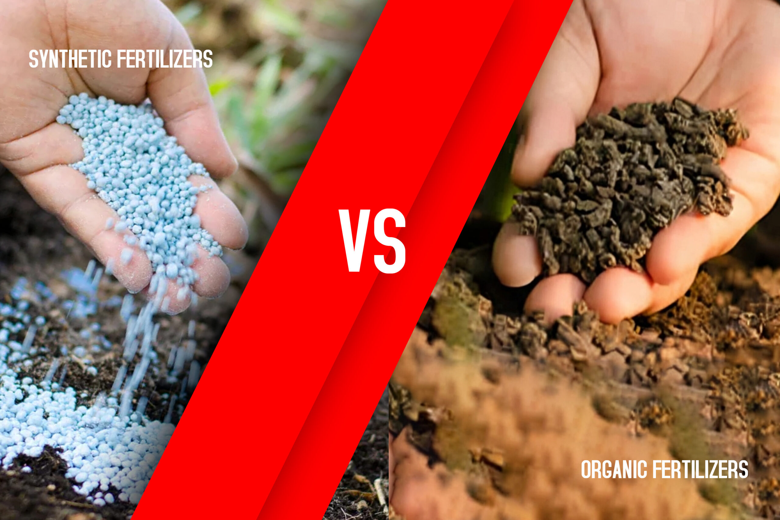 Natural vs Synthetic fertilizers