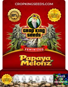Papaya Melonz Feminized