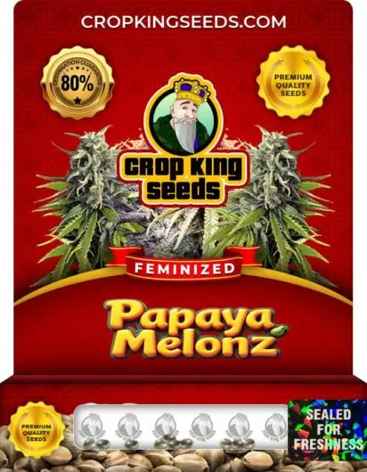 Papaya Melonz Feminized
