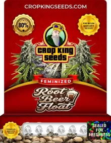 Root Beer Float Feminized