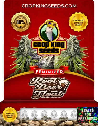 Root Beer Float Feminized