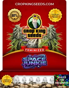 Space Junkie Feminized