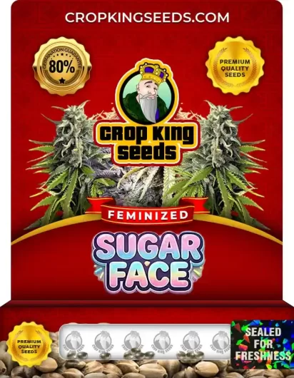 Sugar Face Feminized