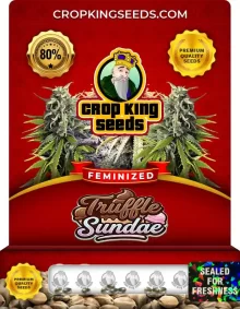 Truffle Sundae Feminized