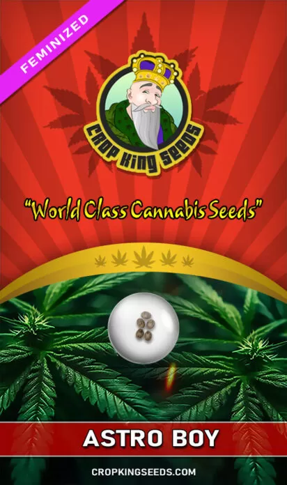 Astro Boy Feminized