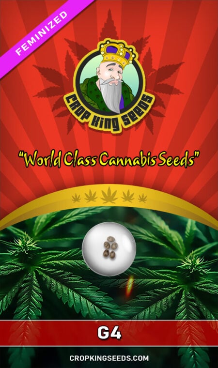 G4 Feminized