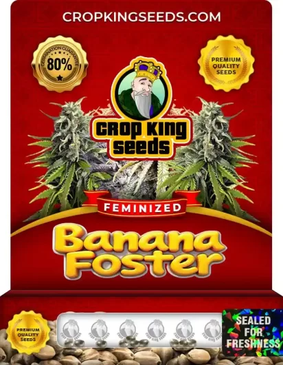 Banana Foster Strain