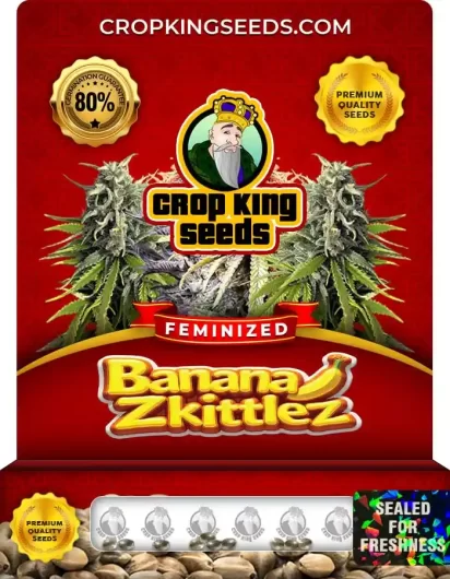 Banana Zkittlez Strain