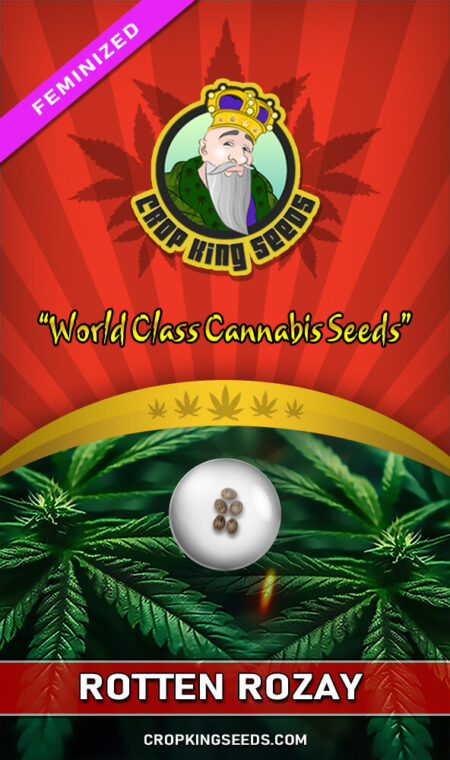Rotten Rozay Feminized