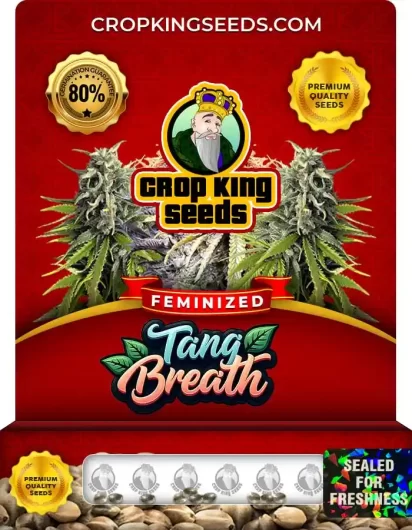 Tang Breath Strain
