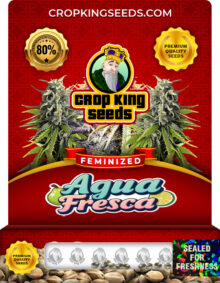 Agua Fresca Strain