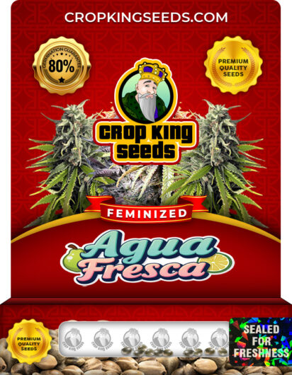 Agua Fresca Strain
